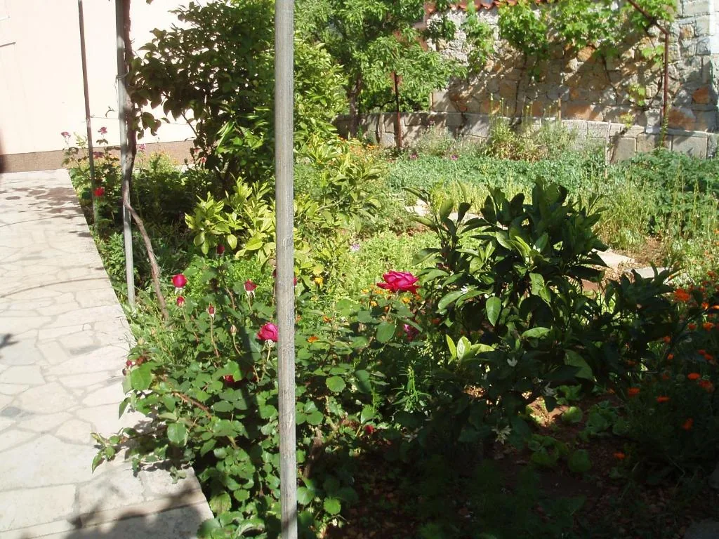 Apartman s terasom - fotografija 3